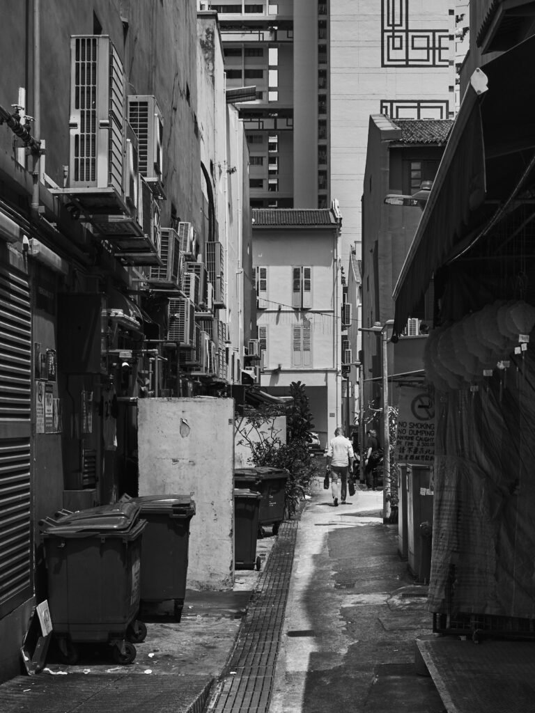 skip bins sunshine coast